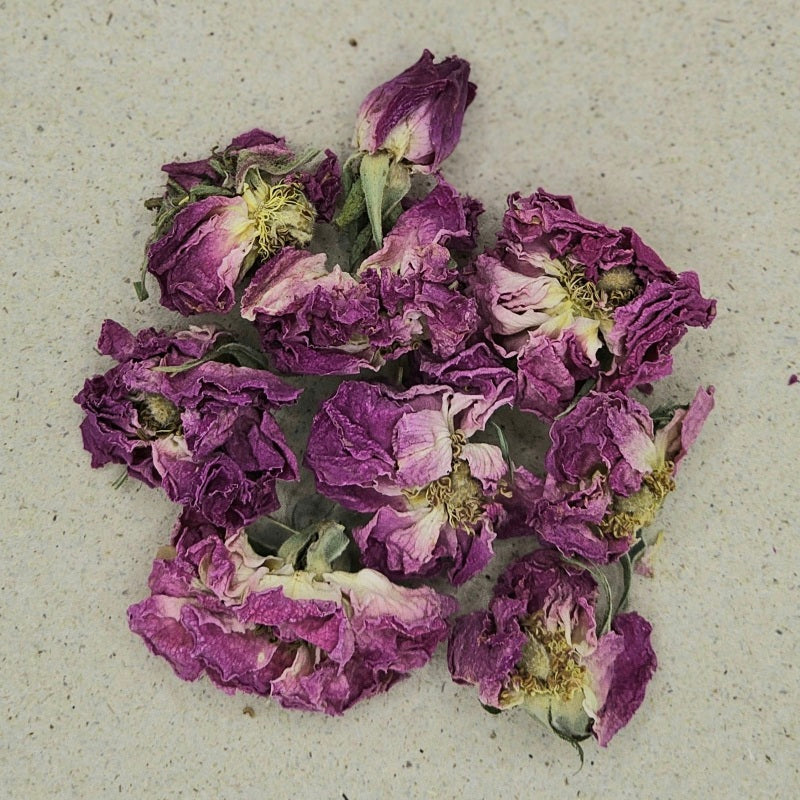 Rosenblüten ganz rosa BIO (Rosenknospen) von