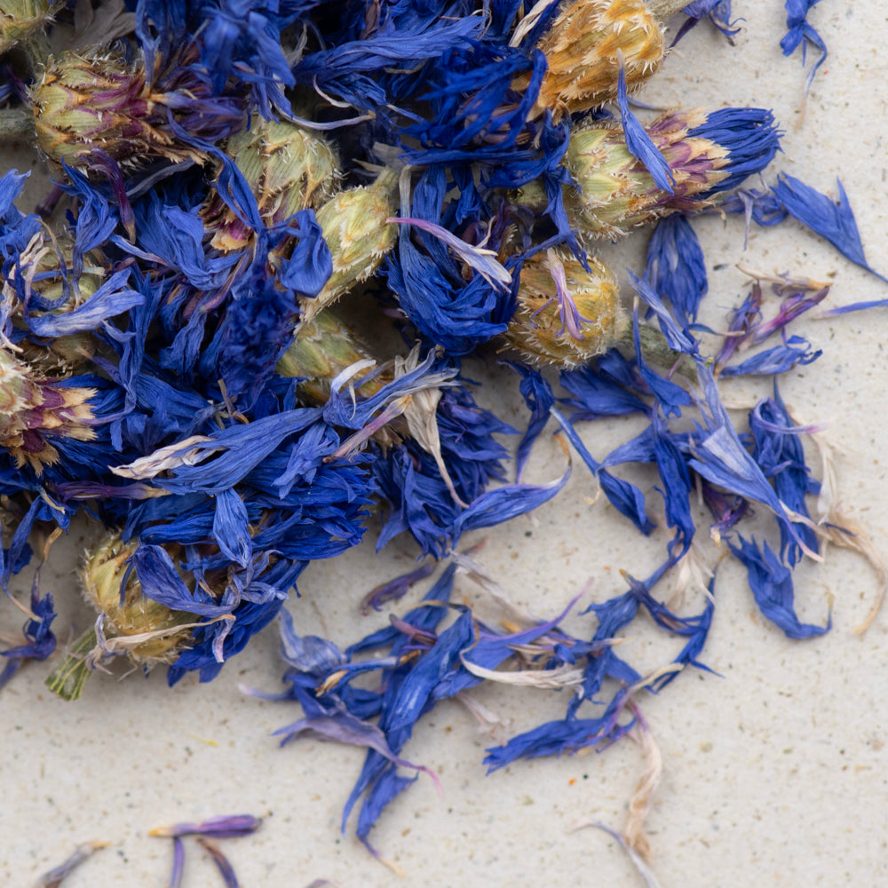 Kornblumenblüten blau bio ganz, mit Kelch von teewerk.ch Kornblumenblüten blau bio ganz, mit Kelch von teewerk.ch