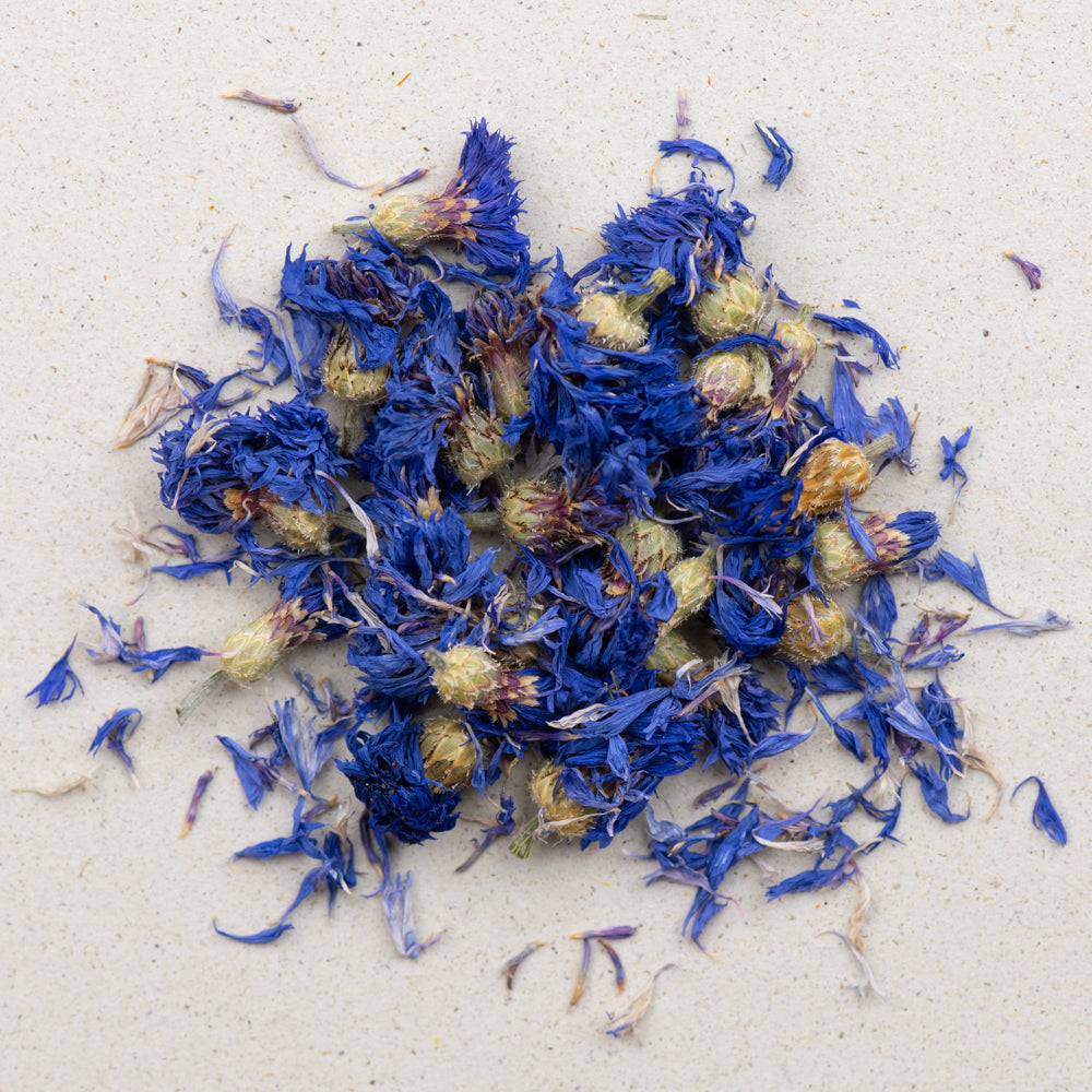 Kornblumenblüten blau bio ganz, mit Kelch von teewerk.ch Kornblumenblüten blau bio ganz, mit Kelch von teewerk.ch