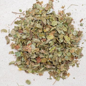 Heidelbeerblätter BIO geschnitten, myrtilli folium