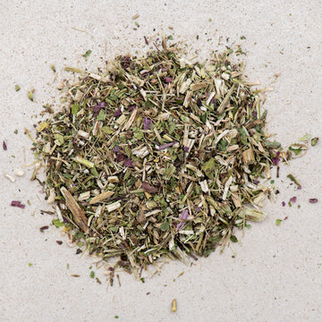 Echinaceakraut, Purpursonnenhutkraut BIO geschnitten, roter Sonnenhut, echinacea purpurea herba