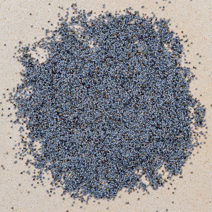 mohnsamen aufbewahren Blaumohnsamen bio ganz von teewerk.ch