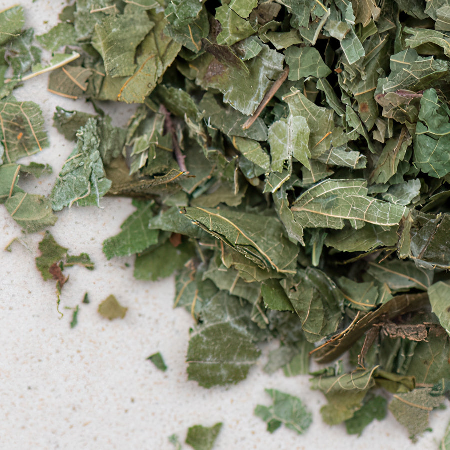 Brombeerblätter bio geschnitten, rubi fruticosi folium