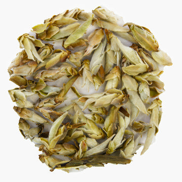 China Weisser Tee Ya Bao first grade premium (wilder Tee, camellia taliensis)