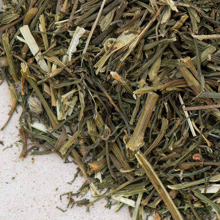 Dillkraut geschnitten, anethi herba, für Tee