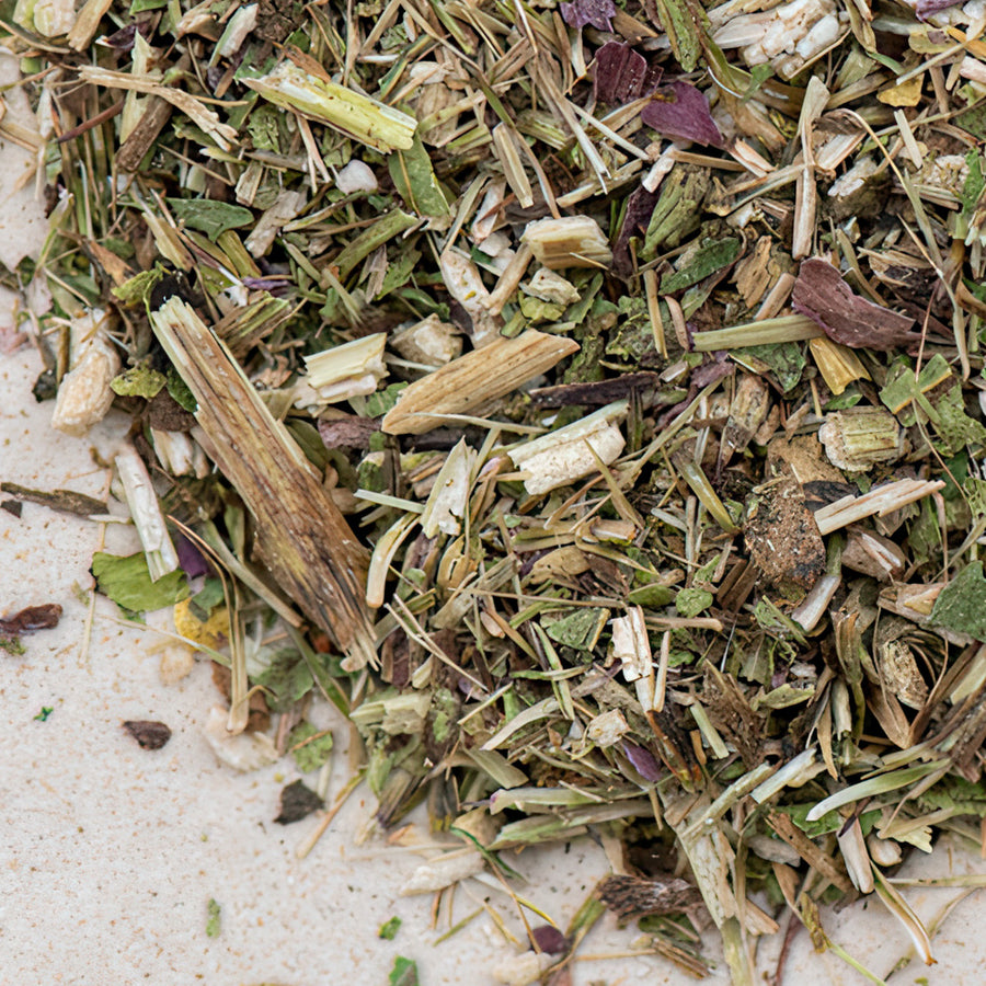 Echinaceakraut, Purpursonnenhutkraut bio geschnitten, roter Sonnenhut, echinacea purpurea herba