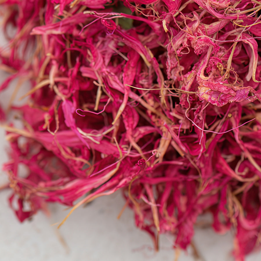 Goldmelissenblüten bio rein 1a, handerlesen; Goldmelisse, monardae flos