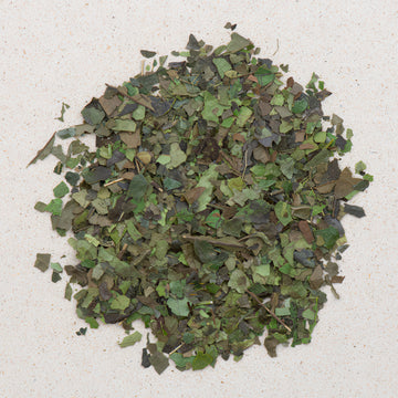 Guayusa Ecuador bio