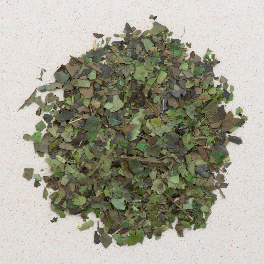 Guayusa Ecuador bio