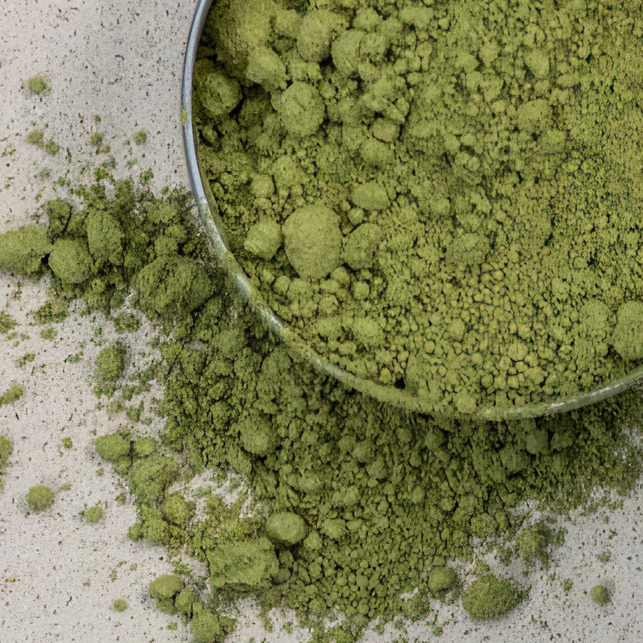 Japan Grüntee bio Premium Matcha Tsuki - 30g Dose oder 100g Beutel