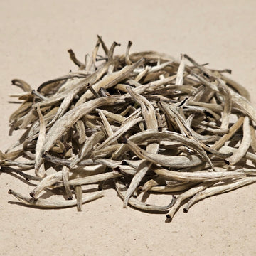 Jasmin White silvery Needle Buds Deluxe bio (weisser Jasmin Tee)