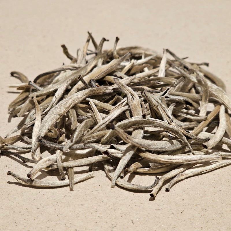 Jasmin White silvery Needle Buds Deluxe bio (weisser Jasmin Tee)