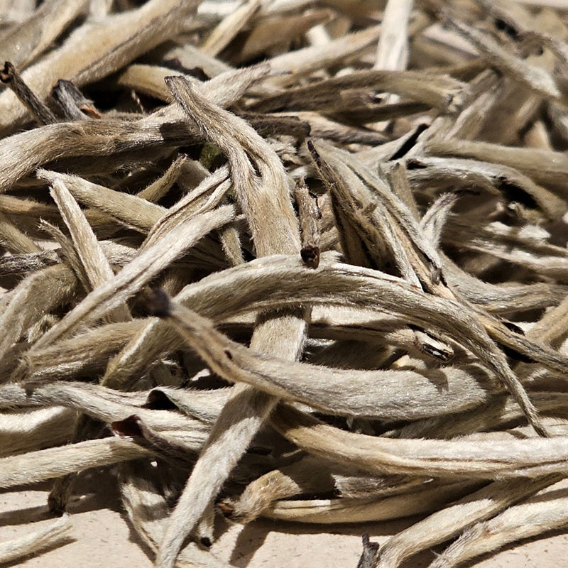 Jasmin White silvery Needle Buds Deluxe bio (weisser Jasmin Tee)