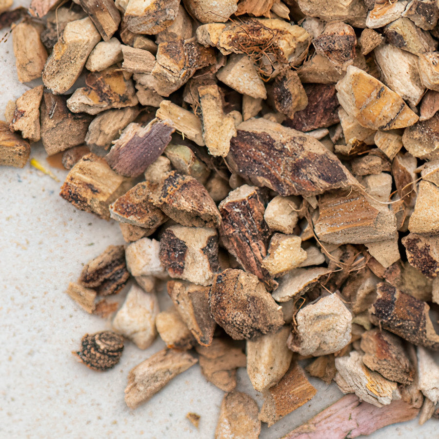 Kalmuswurzel natur bio geschnitten, calami rhizoma, acorus calamus - Räuchermittel, kein Lebensmittel