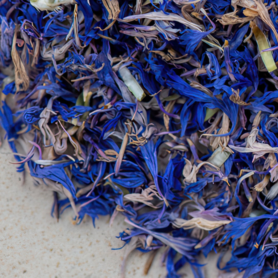 Kornblumenblütenblätter blau bio ganz, ohne Kelch, essbare Blüte, cyani flos