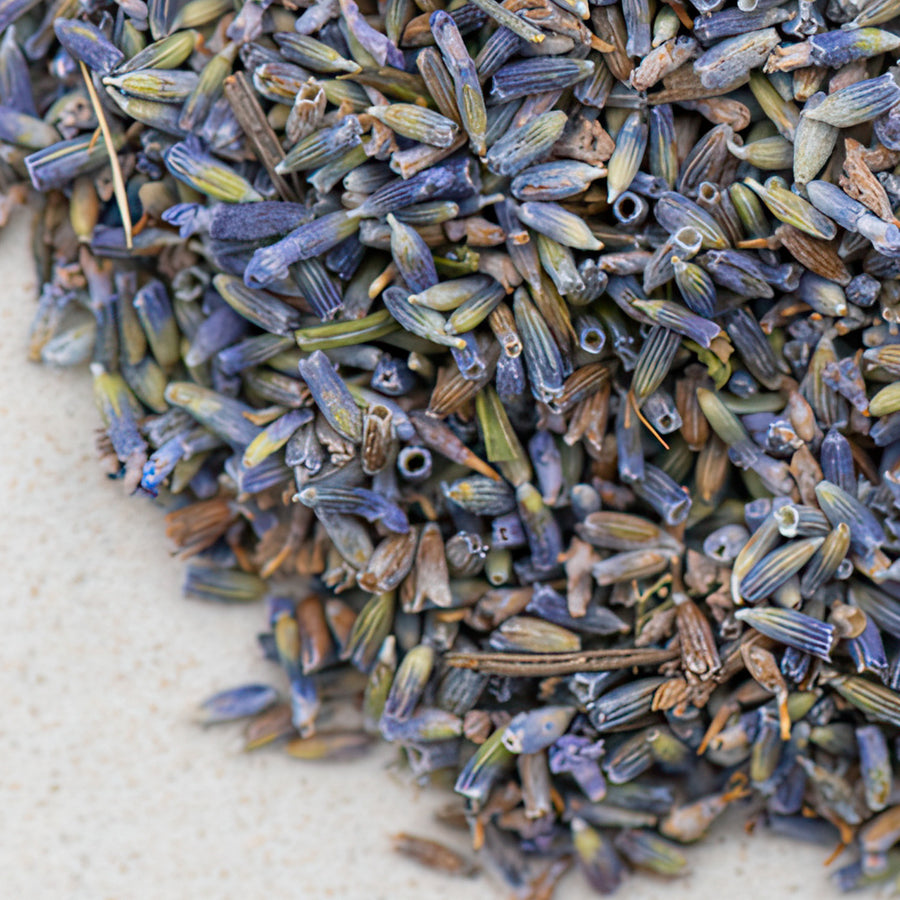 Lavendelblüten la blau bio ganz, essbare Blüte, lavandula angustifolia