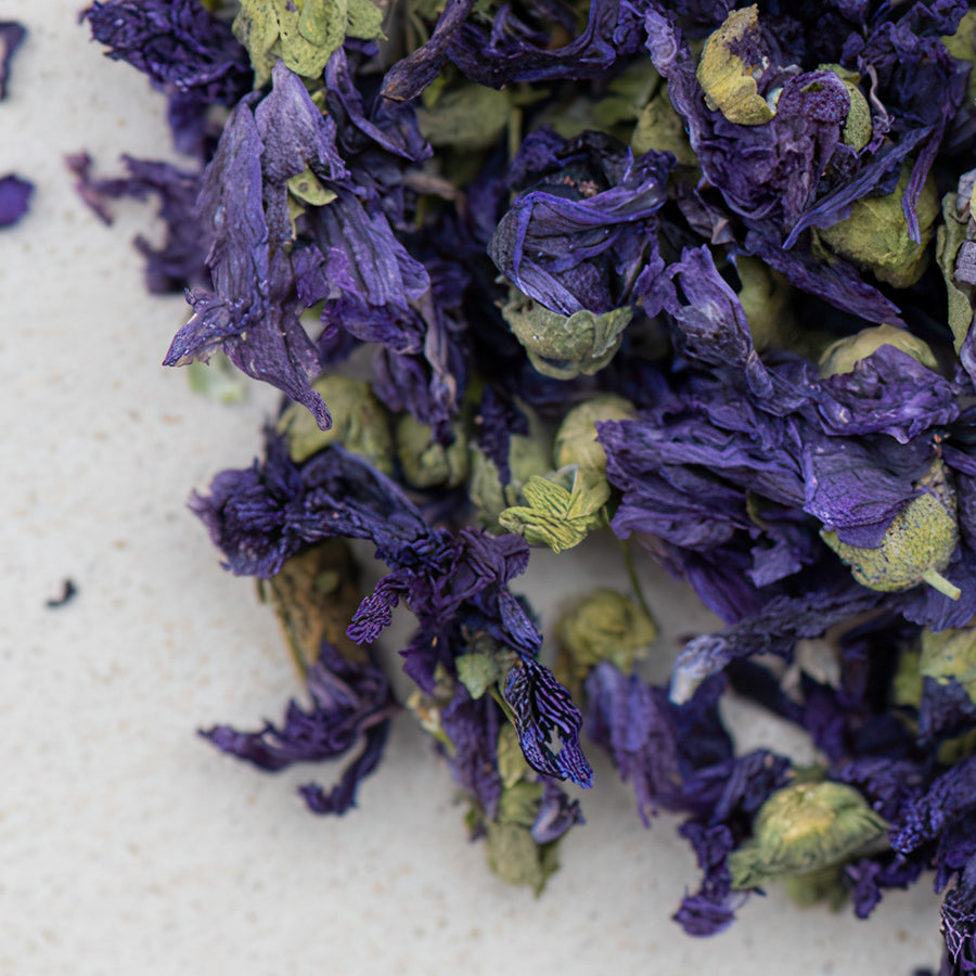 Malvenblüten blau mit Kelch ganz, essbare Blüte, malvae sylvestris