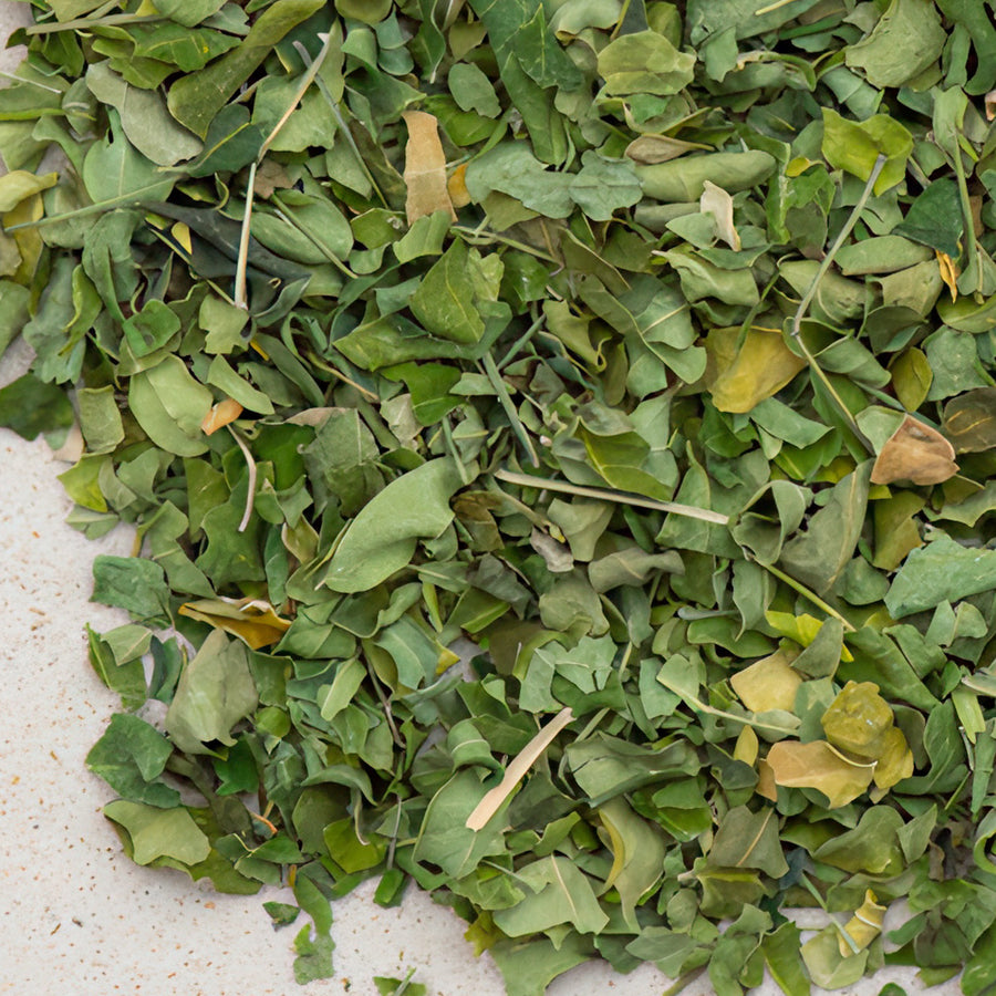 Moringablätter bio geschnitten, moringa oleifera