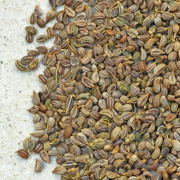 Petersiliensamen, Petersilienfrüchte ganz, petroselini fructus