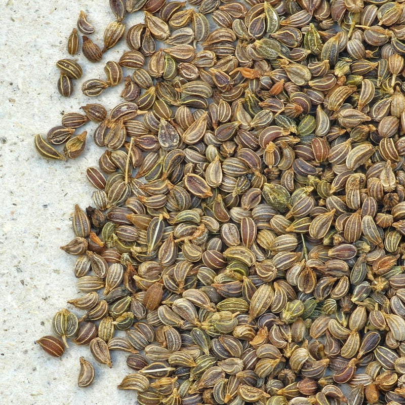Petersiliensamen, Petersilienfrüchte ganz, petroselini fructus