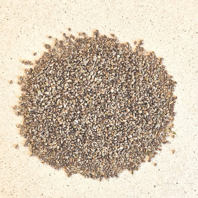 Petersiliensamen, Petersilienfrüchte ganz, petroselini fructus