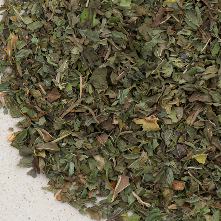 Pfefferminzblätter, Pfefferminze BIO geschnitten, mentha piperita