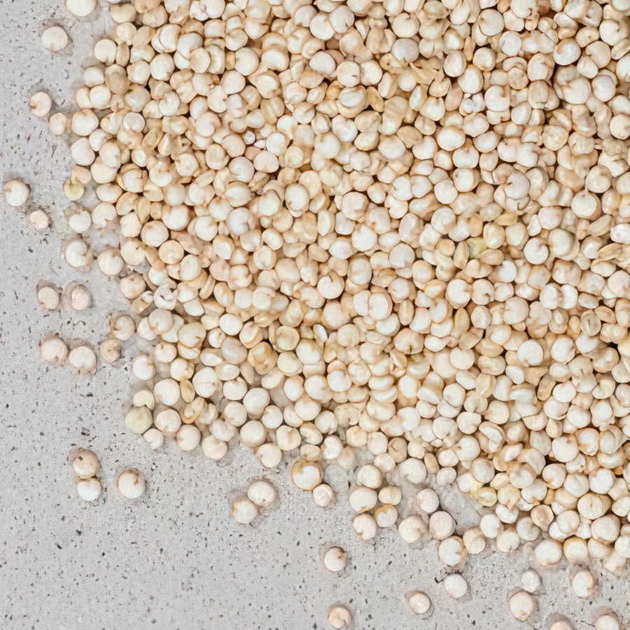 Quinoasamen BIO ganz; Quinoa