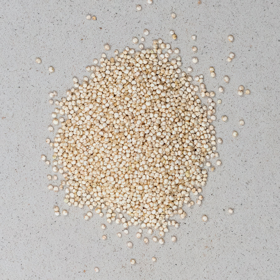 Quinoasamen BIO ganz; Quinoa