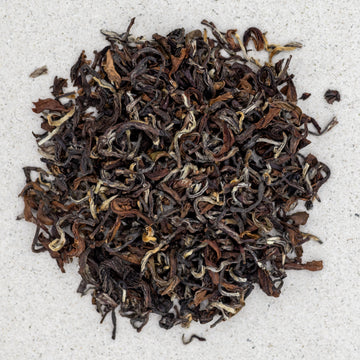 Schwarztee Nepal Jun Chiyabari first flush handrolled Bio Premium