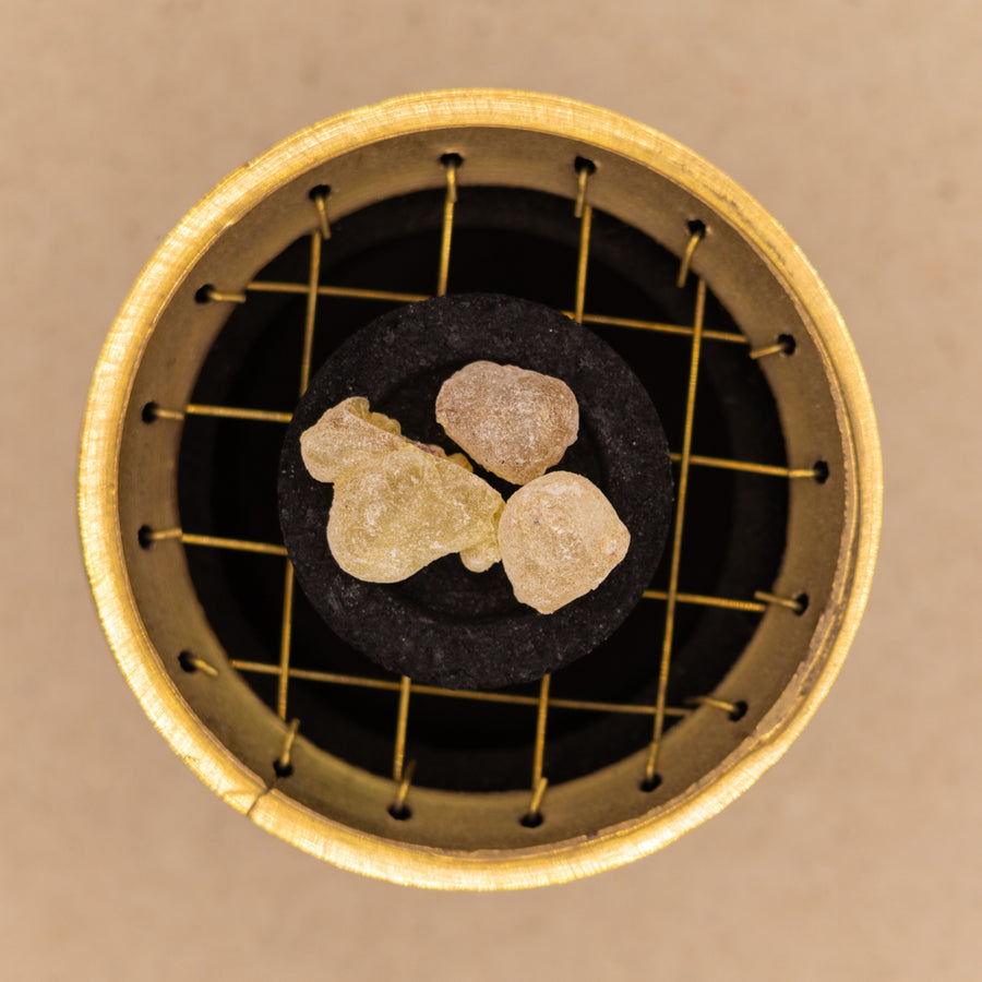 Weihrauch Yemen grün, boswellia sacra, echt, ungefärbt, Tee-Weihrauch