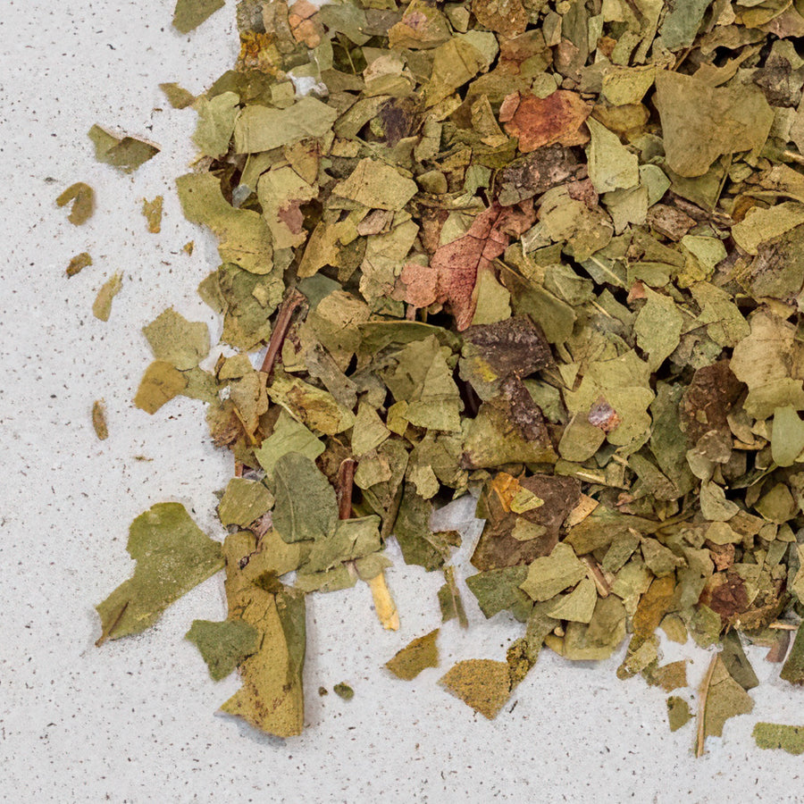Weinblätter grün BIO geschnitten