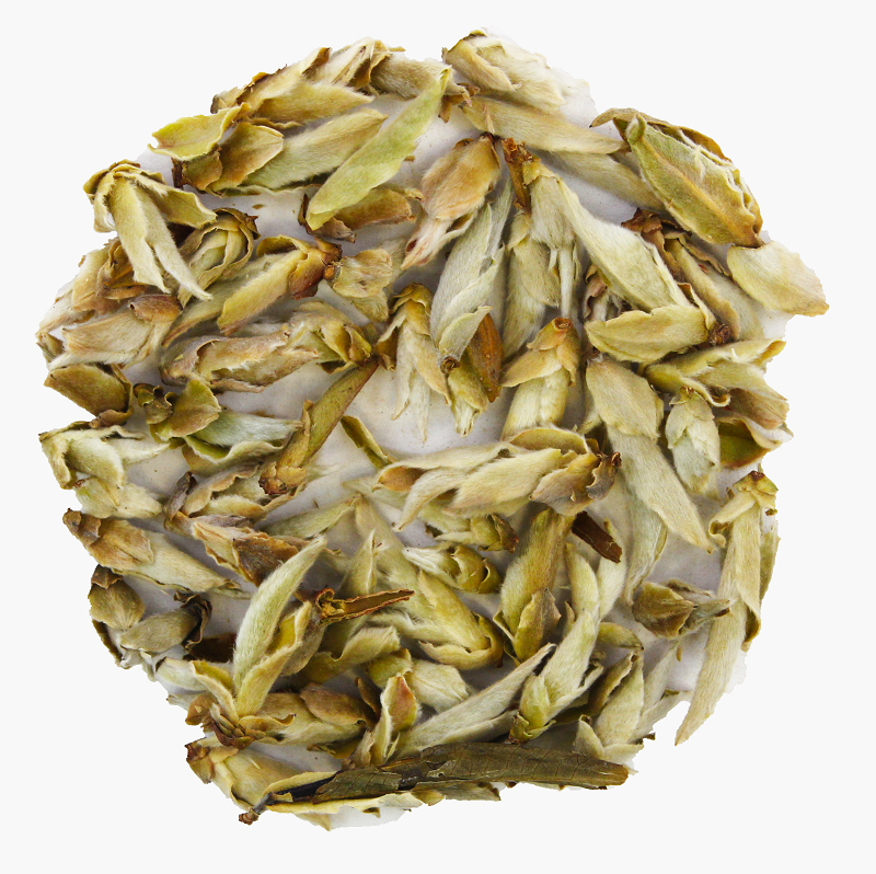 China weisser Tee Ya Bao first grade Premium (wilder Tee, camellia taliensis)