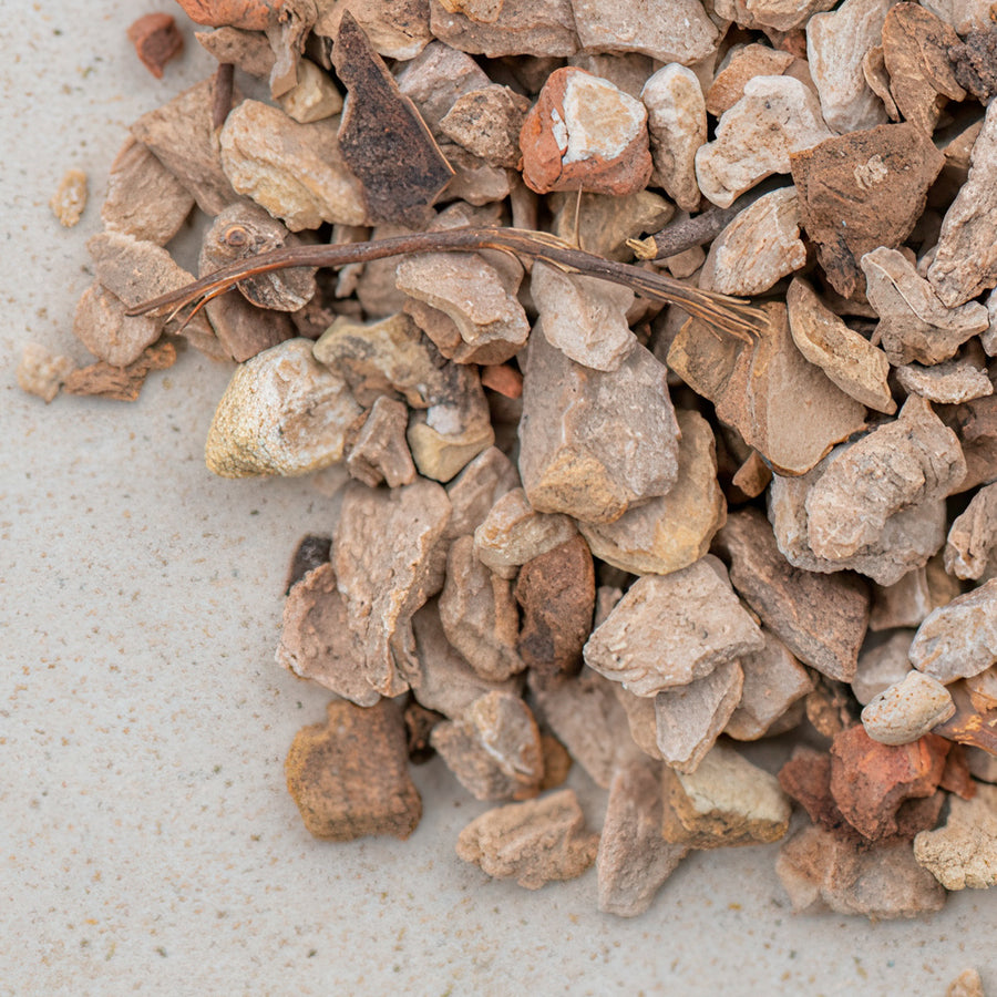 Yamswurzel geschnitten, wild yam