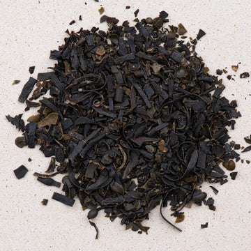 Blasentang (Kelp) geschnitten (Meeresalge), vesiculosus fucus