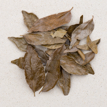Curryblätter bio ganz, murraya koenigii folium