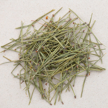 Kiefernnadeln bio ganz, Kiefernadeln, Kiefernadeltee, pinus silvestris