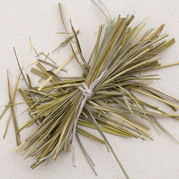 Süssgras, Mariengras, Sweetgrass Büschel