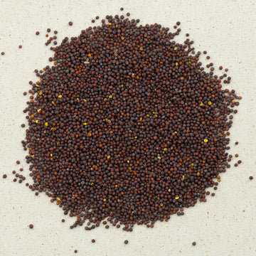 Senfkörner braun / schwarz BIO ganz; Senfsaat schwarz, Senfsamen schwarz; schwarzer Senf