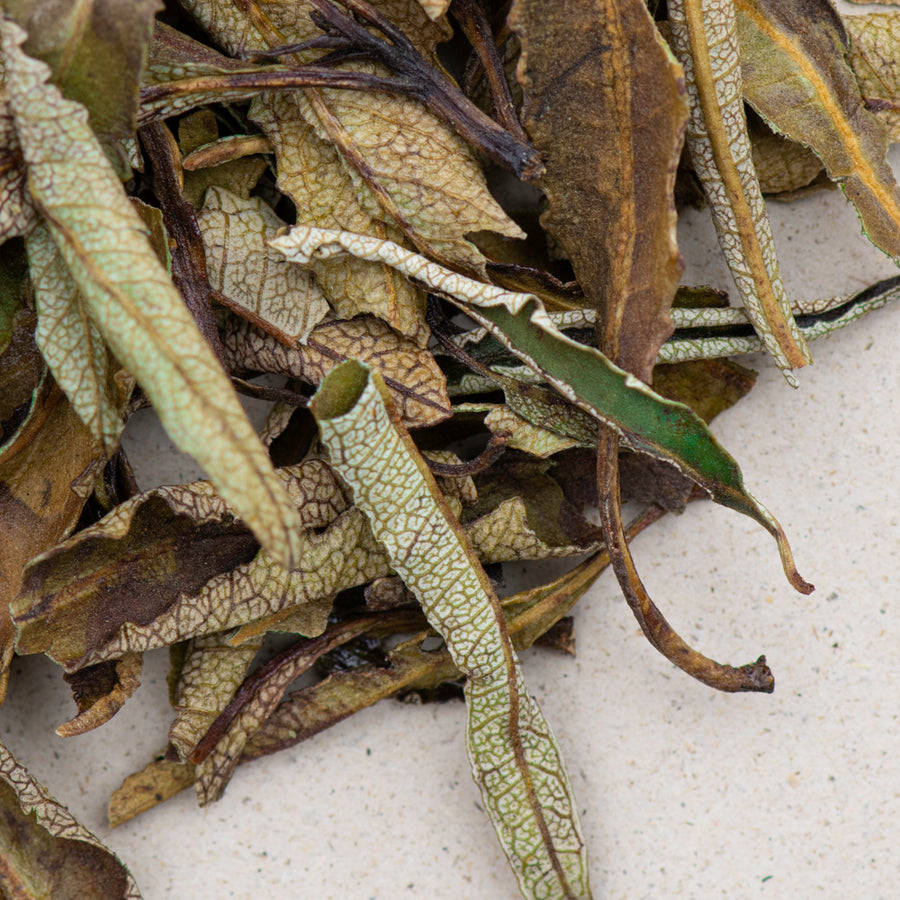 Yerba Santa zum Räuchern