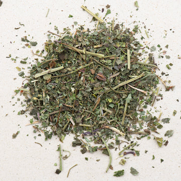 Gundermannkraut bio geschnitten, Gundelrebe, glechoma hederacea herba