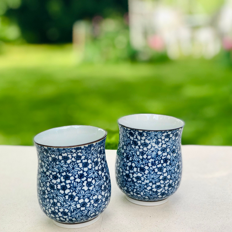Japanisches Tee Set Tokio; Kanne + 2 Cups